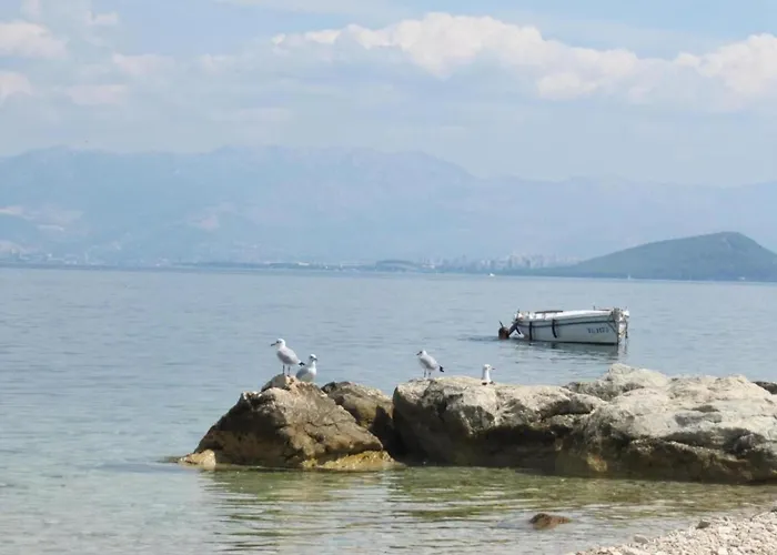 In Slatine Near The Sea *